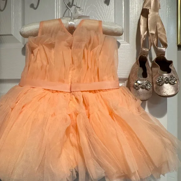 peach dress with gold shoes Pink One Shoulder Dress | Shannon Dress main image 0